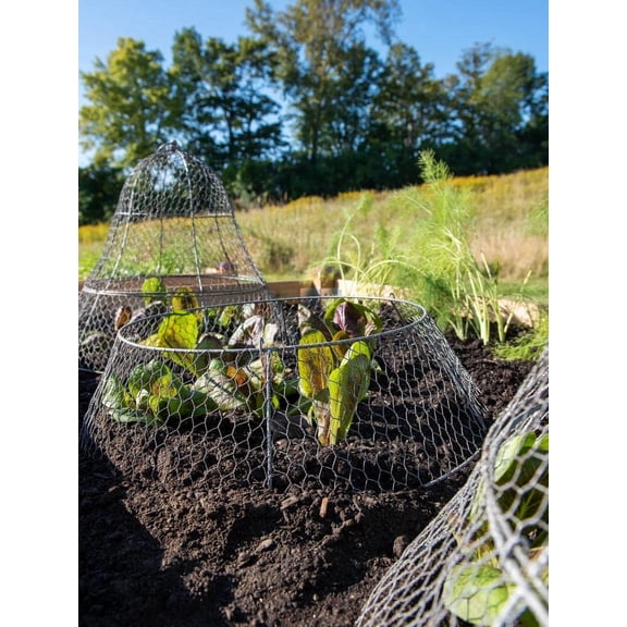 Sturdy Chicken Wire Cloche Plant Protector Extension | Adds Broader Area Coverage Protection for Tall Plants Vegetables & Seedlings | (Cloche Extension Only)
