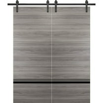 Sturdy Double Barn Door 36 x 80 inches with | Planum 0012 Grey Matte with Frosted Glass | Stainless Steel 13FT Rail Hangers Heavy Set | Solid Panel Interior Doors