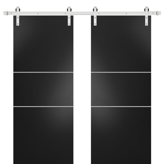 Sturdy Double Barn Door 36 x 80 inches with | Planum 0110 Matte Black with Frosted Glass | Stainless Steel 13FT Rail Hangers Heavy Set | Solid Panel Interior Doors