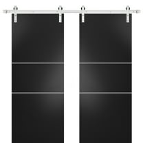 Sturdy Double Barn Door 36 x 80 inches with | Planum 0110 Matte Black with Frosted Glass | Stainless Steel 13FT Rail Hangers Heavy Set | Solid Panel Interior Doors