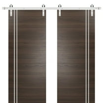 Sturdy Double Barn Door 36 x 80 inches with | Planum 0310 Chocolate Ash with Frosted Glass | Stainless Steel 13FT Rail Hangers Heavy Set | Solid Panel Interior Doors