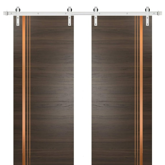 Sturdy Double Barn Door 36 x 80 inches with | Planum 1010 Chocolate Ash with Frosted Glass | Stainless Steel 13FT Rail Hangers Heavy Set | Solid Panel Interior Doors
