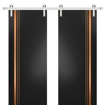 Sturdy Double Barn Door 36 x 80 inches with | Planum 1010 Matte Black with Frosted Glass | Stainless Steel 13FT Rail Hangers Heavy Set | Solid Panel Interior Doors