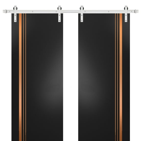 Sturdy Double Barn Door 36 x 80 inches with | Planum 1010 Matte Black with Frosted Glass | Stainless Steel 13FT Rail Hangers Heavy Set | Solid Panel Interior Doors