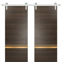 Sturdy Double Barn Door 36 x 80 inches with | Planum 2010 Chocolate Ash with Frosted Glass | Stainless Steel 13FT Rail Hangers Heavy Set | Solid Panel Interior Doors