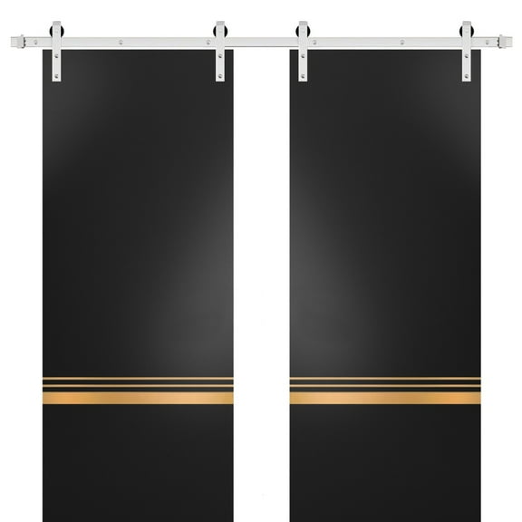 Sturdy Double Barn Door 36 x 80 inches with | Planum 2010 Matte Black with Frosted Glass | Stainless Steel 13FT Rail Hangers Heavy Set | Solid Panel Interior Doors