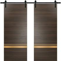 Sturdy Double Barn Door 36 x 80 inches with | Planum 2010 Chocolate Ash with Frosted Glass | 13FT Rail Hangers Heavy Set | Solid Panel Interior Doors