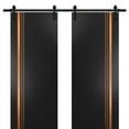 thumbnail image 1 of Sturdy Double Barn Door 36 x 84 inches with | Planum 1010 Matte Black with Frosted Glass | 13FT Rail Hangers Heavy Set | Solid Panel Interior Doors, 1 of 6
