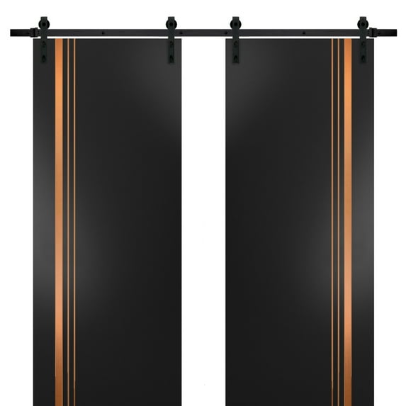 Sturdy Double Barn Door 36 x 84 inches with | Planum 1010 Matte Black with Frosted Glass | 13FT Rail Hangers Heavy Set | Solid Panel Interior Doors