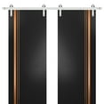 thumbnail image 1 of Sturdy Double Barn Door 48 x 80 inches with | Planum 1010 Matte Black with Frosted Glass | Stainless Steel 13FT Rail Hangers Heavy Set | Solid Panel Interior Doors, 1 of 6