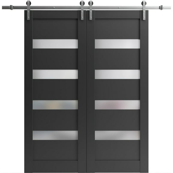 Sturdy Double Barn Door 48 x 80 inches | Quadro 4113 Matte Black Frosted Glass | Stainless Steel 13FT Rail Hangers Heavy Set | Solid Panel Interior Doors