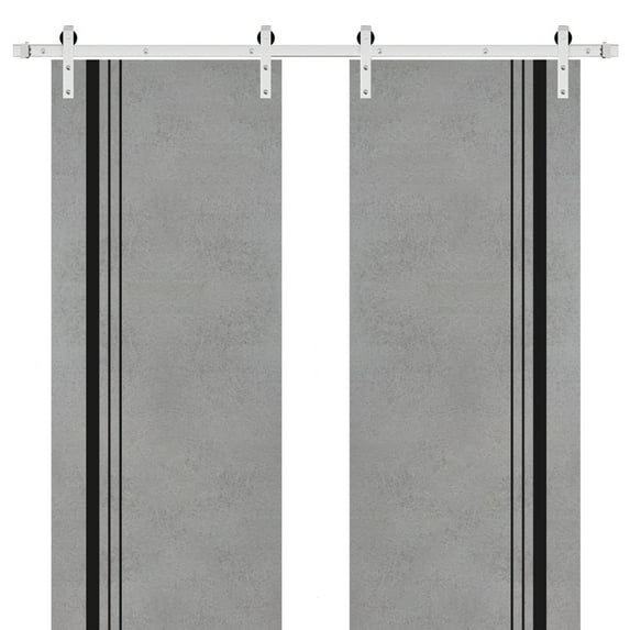 Sturdy Double Barn Door 48 x 84 inches with | Planum 0011 Concrete with Frosted Glass | Stainless Steel 13FT Rail Hangers Heavy Set | Solid Panel Interior Doors