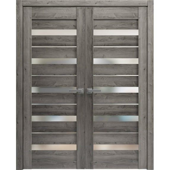 Sturdy Double Barn Door 56 x 80 inches | Lucia 2166 Matte Black Clear Glass | 13FT Rail Hangers Heavy Set | Solid Panel Interior Doors