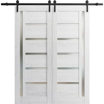 Sturdy Double Barn Door 56 x 84 inches | Quadro 4088 Nordic White with Frosted Glass | Stainless Steel 13FT Rail Hangers Heavy Set | Solid Panel Interior Doors