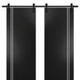 thumbnail image 1 of Sturdy Double Barn Door 56 x 84 inches with | Planum 0310 Matte Black with Frosted Glass | 13FT Rail Hangers Heavy Set | Solid Panel Interior Doors, 1 of 6