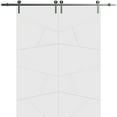 thumbnail image 1 of Sturdy Double Barn Door 60 x 80 inches | Planum 0990 Painted White | Stainless Steel 13FT Rail Hangers Heavy Set | Solid Panel Interior Doors, 1 of 6