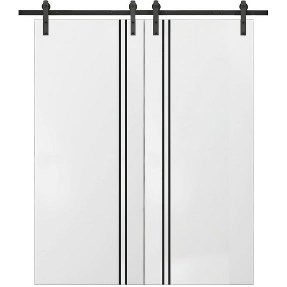 Sturdy Double Barn Door 60 x 84 inches with | Planum 0016 White Silk with Frosted Glass | 13FT Rail Hangers Heavy Set | Solid Panel Interior Doors
