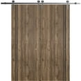 thumbnail image 1 of Sturdy Double Barn Door 84 x 80 inches with | Planum 0016 Walnut with Frosted Glass | Stainless Steel 14FT Rail Hangers Heavy Set | Solid Panel Interior Doors, 1 of 6