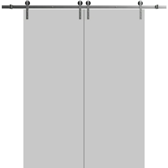 Sturdy Double Barn Door 84 x 84 inches | Planum 0010 Matte Grey | Stainless Steel 14FT Rail Hangers Heavy Set | Solid Panel Interior Doors
