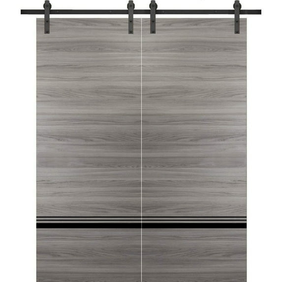 Sturdy Double Barn Door 84 x 84 inches with | Planum 0012 Grey Matte with Frosted Glass | 14FT Rail Hangers Heavy Set | Solid Panel Interior Doors