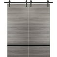 thumbnail image 1 of Sturdy Double Barn Door 84 x 96 inches with | Planum 0012 Grey Matte with Frosted Glass | Stainless Steel 14FT Rail Hangers Heavy Set | Solid Panel Interior Doors, 1 of 5