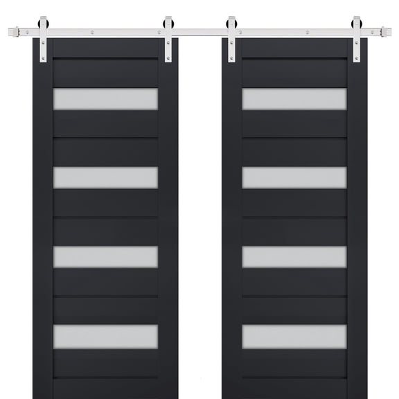 Sturdy Double Barn Door with Frosted Glass | Veregio 7455 Antracite | 13FT Rail Hangers Heavy Set | Solid Panel Interior Doors-36" x 80" (2* 18x80)-Silver Rail