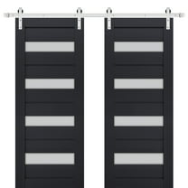 Sturdy Double Barn Door with Frosted Glass | Veregio 7455 Antracite | 13FT Rail Hangers Heavy Set | Solid Panel Interior Doors-36" x 96" (2* 18x96)-Silver Rail