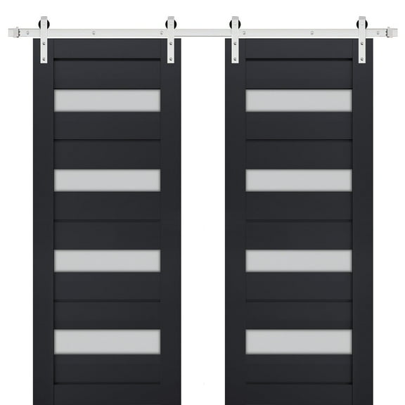 Sturdy Double Barn Door with Frosted Glass | Veregio 7455 Antracite | 13FT Rail Hangers Heavy Set | Solid Panel Interior Doors-60" x 80" (2* 30x80)-Silver Rail
