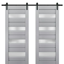 Sturdy Double Barn Door with Frosted Glass | Veregio 7455 Matte Grey | 13FT Rail Hangers Heavy Set | Solid Panel Interior Doors-36" x 96" (2* 18x96)-Black Rail