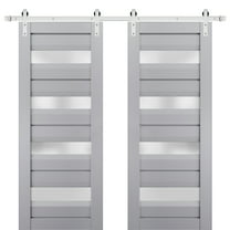 Sturdy Double Barn Door with Frosted Glass | Veregio 7455 Matte Grey | 13FT Rail Hangers Heavy Set | Solid Panel Interior Doors-36" x 96" (2* 18x96)-Silver Rail