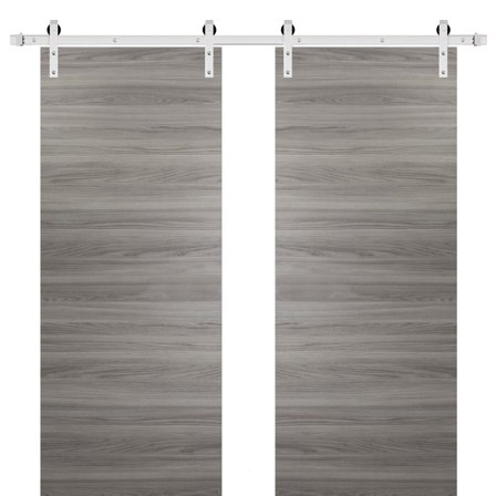 Sturdy Double Barn Door with Hardware | Planum 0010 Ginger Ash | 13FT Rail Hangers Heavy Set | Modern Solid Panel Interior Doors-36" x 96" (2* 18x96)-Silver Rail