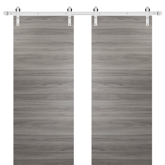 Sturdy Double Barn Door with Hardware | Planum 0010 Ginger Ash | 13FT Rail Hangers Heavy Set | Modern Solid Panel Interior Doors-48" x 84" (2* 24x84)-Silver Rail