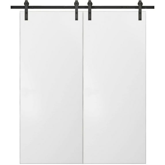 Sturdy Double Barn Door with Hardware | Planum 0010 White Silk | 13FT Rail Hangers Heavy Set | Modern Solid Panel Interior Doors-60" x 80" (2* 30x80)-Black Rail