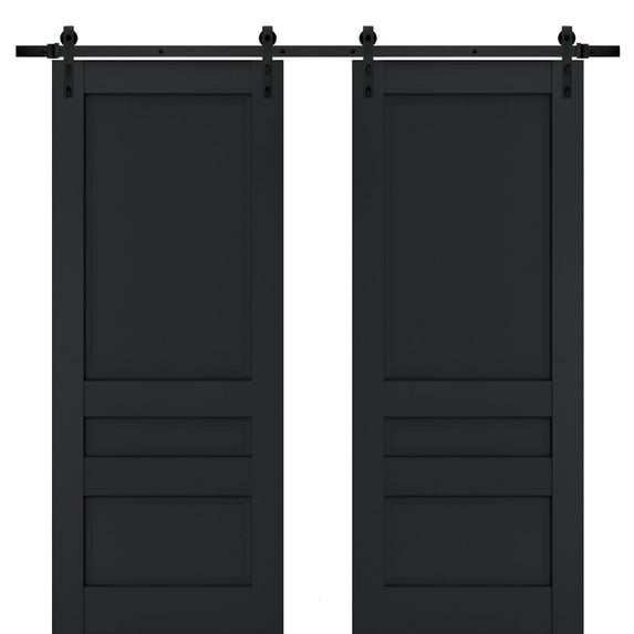 Sturdy Double Barn Door | Veregio 7411 Antracite | 13FT Rail Hangers Heavy Set | Solid Panel Interior Doors-56" x 96" (2* 28x96)-Black Rail