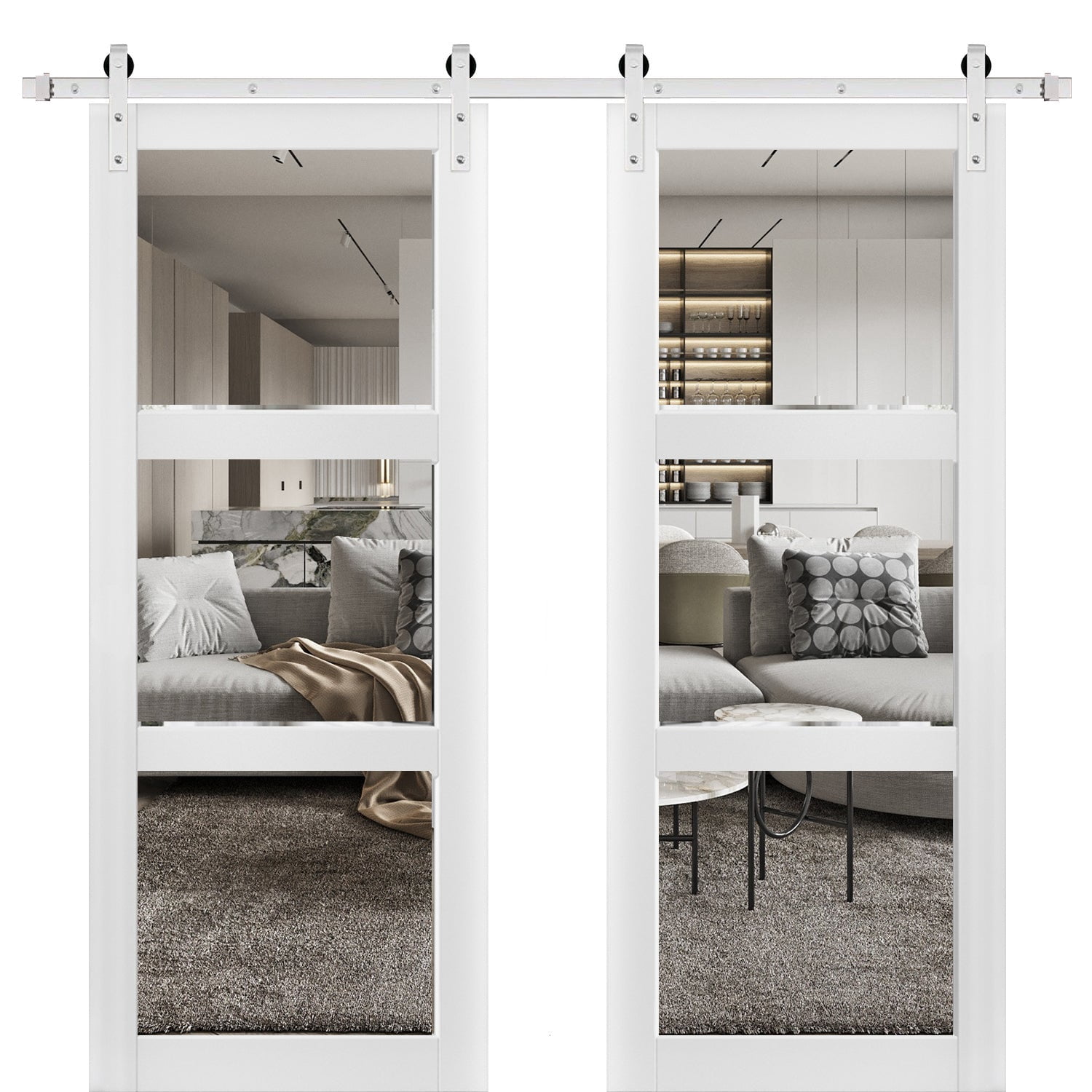 Sturdy Double Barn Door with Clear Glass 3 Lites | Lucia 2555 Matte White | Sample of Door Color