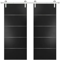 Sturdy Double Barn Door with | Planum 0020 Matte Black | 13FT Rail Hangers Heavy Set | Solid Panel Interior Doors-36" x 96" (2* 18x96)-Silver Rail