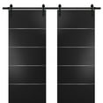 Sturdy Double Barn Door with Planum 0020 Matte Black 13FT Rail