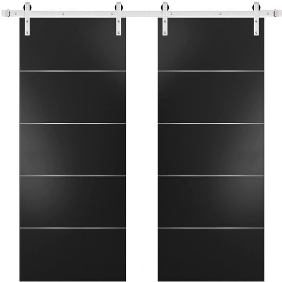 Sturdy Double Barn Door with | Planum 0020 Matte Black | 13FT Rail Hangers Heavy Set | Solid Panel Interior Doors-64" x 96" (2* 32x96)-Silver Rail