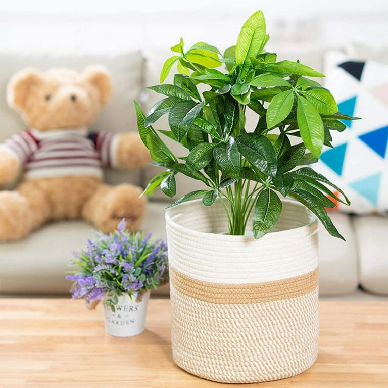 Mix Plant with Jute Basket Mix Plant with Jute Basket