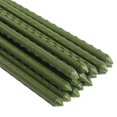 thumbnail image 1 of Sturdy Steel Garden Stakes 2-Ft Plastic Coated Plant Stakes, 10Packs for Climbing Plants, 1 of 6