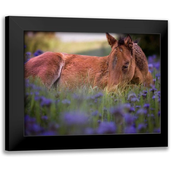 Sturgeon, Ozana 18x15 Black Modern Framed Museum Art Print Titled - Flower Frolick VI