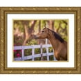 thumbnail image 1 of Sturgeon, Ozana 18x15 Gold Ornate Wood Framed with Double Matting Museum Art Print Titled - Flower Frolick I, 1 of 4