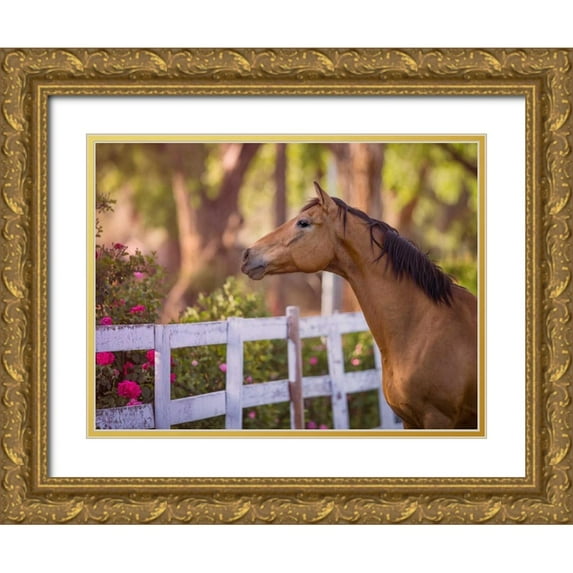 Sturgeon, Ozana 18x15 Gold Ornate Wood Framed with Double Matting Museum Art Print Titled - Flower Frolick I