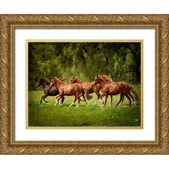 Sturgeon, Ozana 18x15 Gold Ornate Wood Framed with Double Matting Museum Art Print Titled - Horses in the Field III