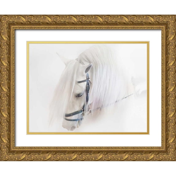 Sturgeon, Ozana 18x15 Gold Ornate Wood Framed with Double Matting Museum Art Print Titled - Purebred III