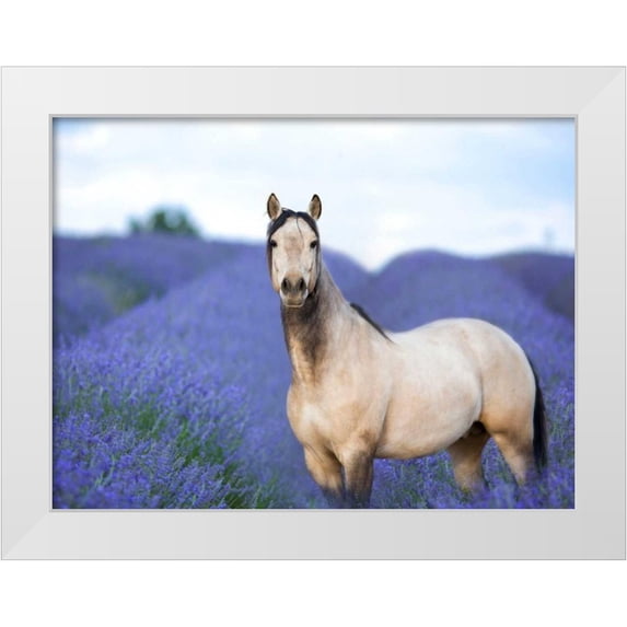 Sturgeon, Ozana 18x15 White Modern Wood Framed Museum Art Print Titled - Flower Frolick III