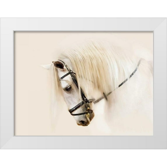 Sturgeon, Ozana 18x15 White Modern Wood Framed Museum Art Print Titled - Purebred II