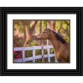 thumbnail image 1 of Sturgeon, Ozana 24x19 Black Ornate Wood Framed with Double Matting Museum Art Print Titled - Flower Frolick I, 1 of 4