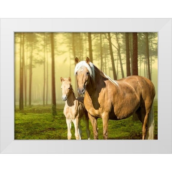 Sturgeon, Ozana 24x19 White Modern Wood Framed Museum Art Print Titled - Horses in the Field II