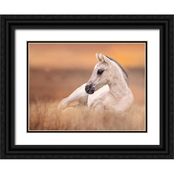 Sturgeon, Ozana 32x25 Black Ornate Wood Framed with Double Matting Museum Art Print Titled - Foal in the Field II